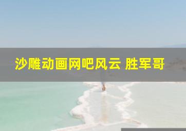 沙雕动画网吧风云 胜军哥